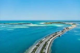 2119 Elm St, Dunedin, FL 34698 - Photo 39
