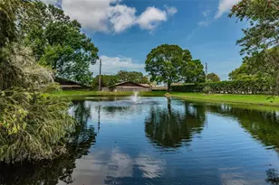 2119 Elm St, Dunedin, FL 34698 - Photo 43