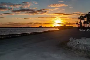 2119 Elm St, Dunedin, FL 34698 - Photo 53