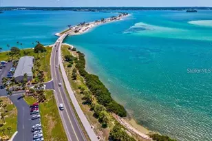 2119 Elm St, Dunedin, FL 34698 - Photo 55