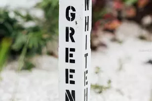 809 10th Ave N, Saint Petersburg, FL 33701 - Photo 27