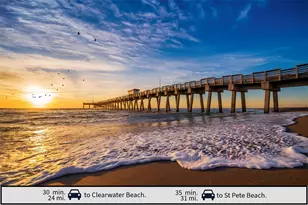 8534 Edgewater Pl Blvd, Tampa, FL 33615 - Photo 33