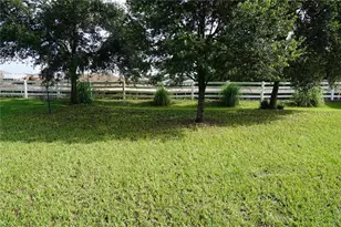 9726 Troncais Cir, Thonotosassa, FL 33592 - Photo 31