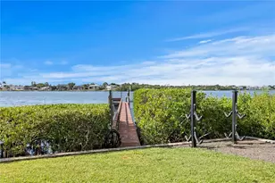 234 Driftwood Rd SE, Saint Petersburg, FL 33705 - Photo 59