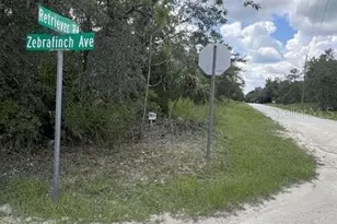 0 Zebrafinch Ave, Weeki Wachee, FL 34614 - Photo 1