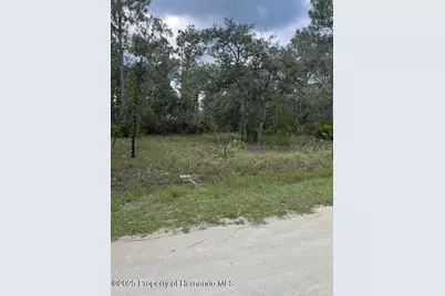 0 Zebrafinch Avenue, Weeki Wachee, FL 34614 - Photo 3