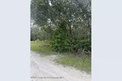 0 Zebrafinch Avenue, Weeki Wachee, FL 34614 - Photo 5