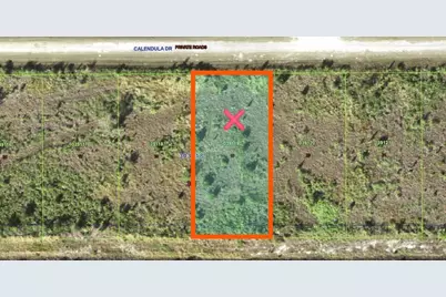 511 Calendula Drive, Indian Lake Estates, FL 33855 - Photo 3