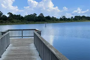 3861 Regent Dr, Palm Harbor, FL 34684 - Photo 23