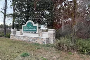 31018 Satinleaf Run, Brooksville, FL 34602 - Photo 21