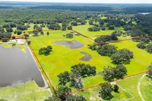 38730 Mickler Rd, Dade City, FL 33523 - Photo 35