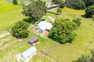 38730 Mickler Rd, Dade City, FL 33523 - Photo 27