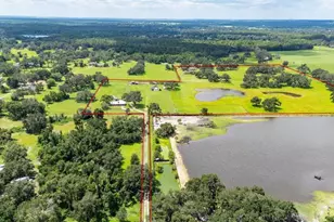 38730 Mickler Rd, Dade City, FL 33523 - Photo 37