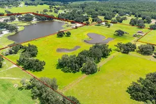 38730 Mickler Rd, Dade City, FL 33523 - Photo 35