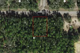 346 E Falcon St, Dunnellon, FL 34434 - Photo 1