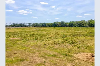 8989 Ehren Cutoff, Land O Lakes, FL 34639 - Photo 7