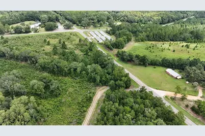 Pate Pond Road, Caryville, FL 32427 - Photo 11