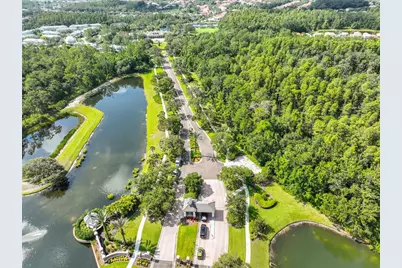 7912 Hampton Lake Drive, Tampa, FL 33647 - Photo 53