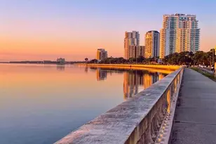 2922 W Coachman Ave, Tampa, FL 33611 - Photo 11