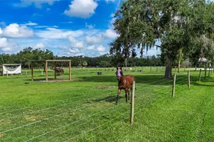 1422 Lightfoot Rd, Wimauma, FL 33598 - Photo 89