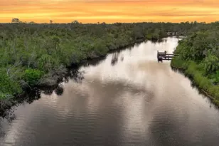 1422 Lightfoot Rd, Wimauma, FL 33598 - Photo 99