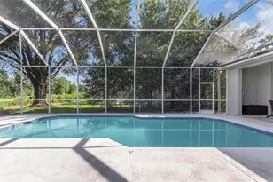 17818 Hickory Moss Pl, Tampa, FL 33647 - Photo 53