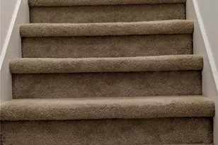 25403 Saddlehorn Way, Land O Lakes, FL 34639 - Photo 11