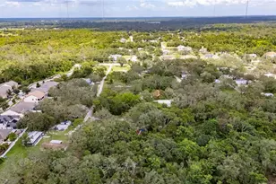 11205 McMullen Rd, Riverview, FL 33569 - Photo 45