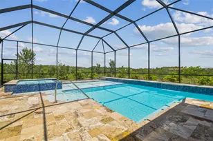 29171 Ginnetto Dr, Wesley Chapel, FL 33543 - Photo 59