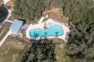 12148 Homesteader Ave, Odessa, FL 33556 - Photo 55