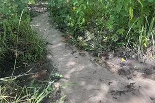 36641 Blanton Rd, Dade City, FL 33523 - Photo 69