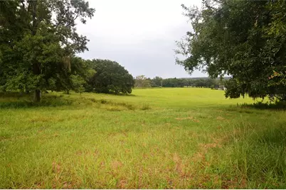 36641 Blanton Road, Dade City, FL 33523 - Photo 57