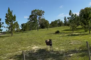 5590 W X-Anne Ln, Dunnellon, FL 34433 - Photo 49