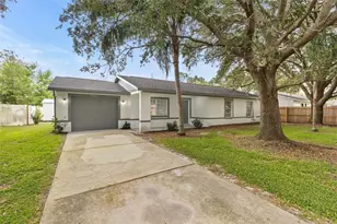 22716 Penny Loop, Land O Lakes, FL 34639 - Photo 1