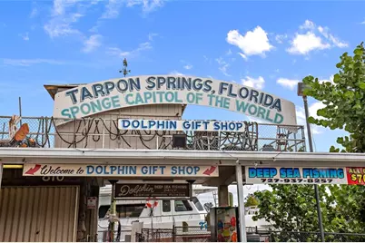 636 Bayshore Drive, Tarpon Springs, FL 34689 - Photo 85