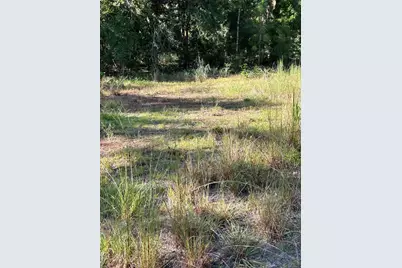 Quail Hollow Blvd Boulevard, Wesley Chapel, FL 33544 - Photo 3