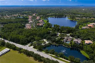 1213 Merry Water Dr, Lutz, FL 33548 - Photo 49