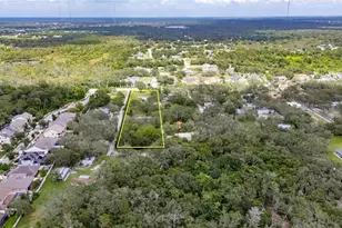 11205 McMullen Rd, Riverview, FL 33569 - Photo 51