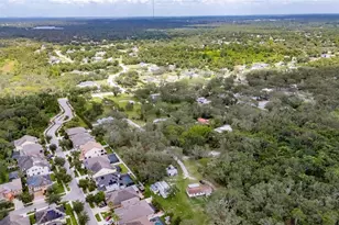 11205 McMullen Rd, Riverview, FL 33569 - Photo 49