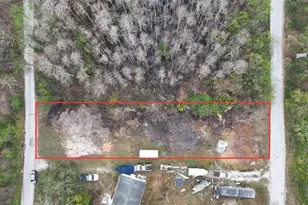 10733 Olsen St, New Port Richey, FL 34654 - Photo 1