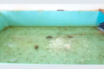 1401 Gulf Boulevard #10, Indian Rocks Beach, FL 33785 - Photo 7