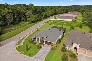 13444 Trailing Moss Dr, Dade City, FL 33525 - Photo 87