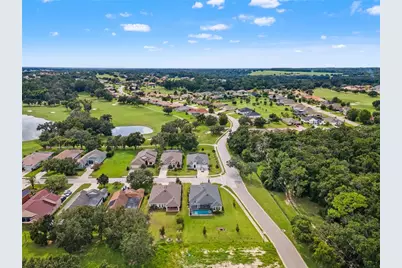 13444 Trailing Moss Drive, Dade City, FL 33525 - Photo 81