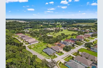 13444 Trailing Moss Drive, Dade City, FL 33525 - Photo 79