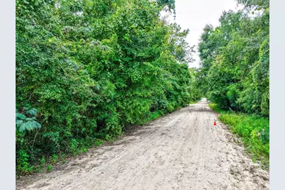 Ne 51st Place, Williston, FL 32696 - Photo 5