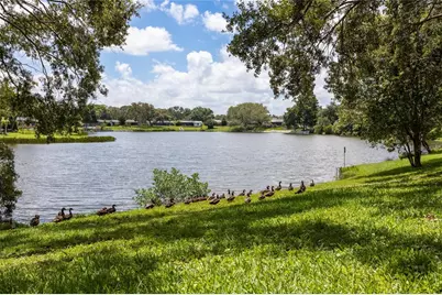 1310 Fairway Drive, Dunedin, FL 34698 - Photo 39