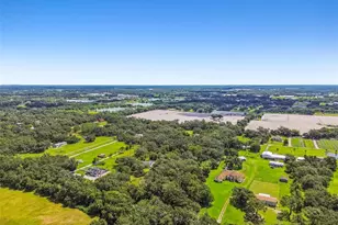 2513 N Valrico Rd, Seffner, FL 33584 - Photo 93