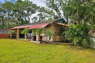 3073 Duane Ave, Oldsmar, FL 34677 - Photo 31