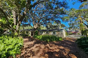 3073 Duane Ave, Oldsmar, FL 34677 - Photo 43