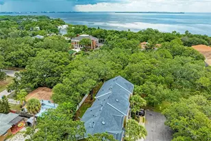 3047 Pointeview Dr, Tampa, FL 33611 - Photo 49